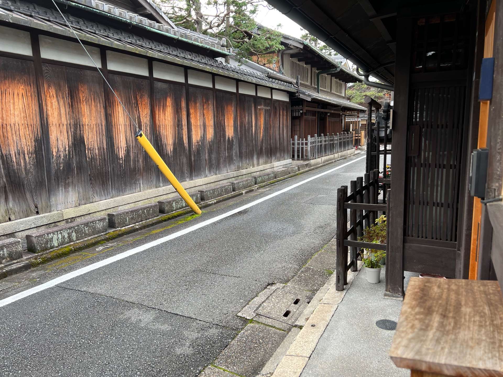 やっぱり京都に来てしまう、、２０２２初詣　京都　平安神宮と散歩