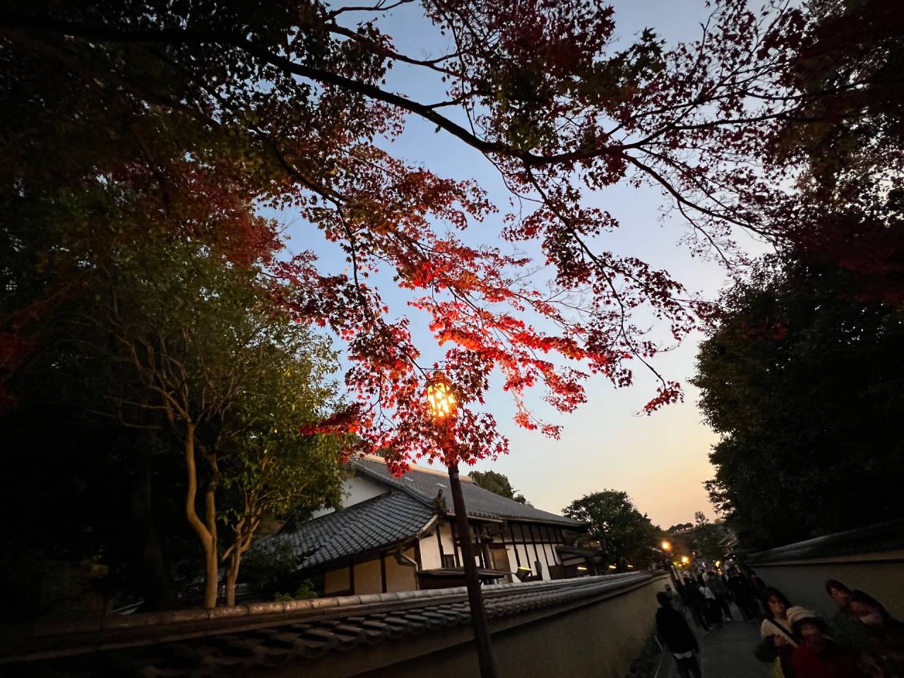 秋のしめくくり　京都